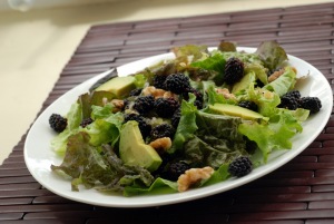 Blackberry, Avocado and Walnut Salad with a Ginger Lime Vinaigrette